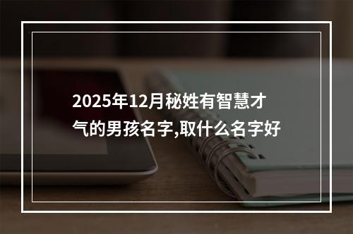 2025年12月秘姓有智慧才气的男孩名字,取什么名字好