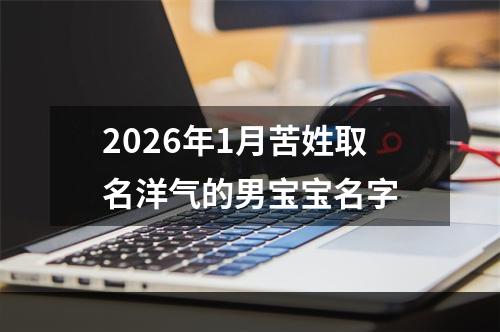 2026年1月苦姓取名洋气的男宝宝名字