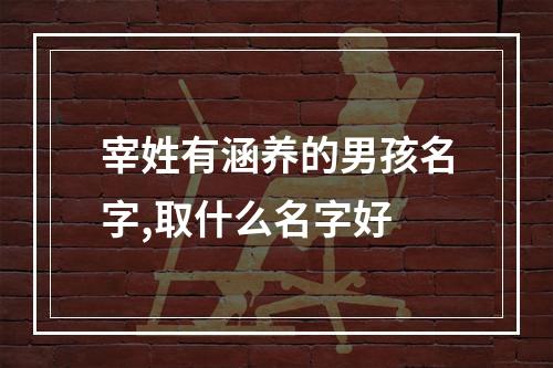 宰姓有涵养的男孩名字,取什么名字好