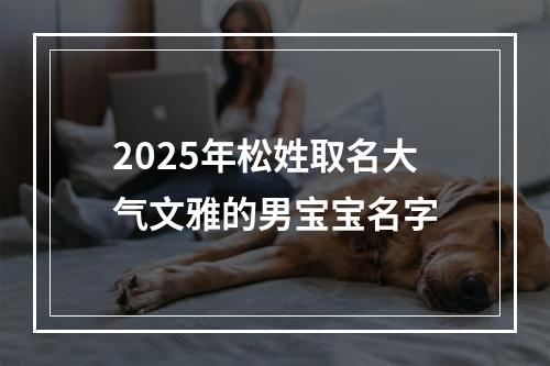 2025年松姓取名大气文雅的男宝宝名字