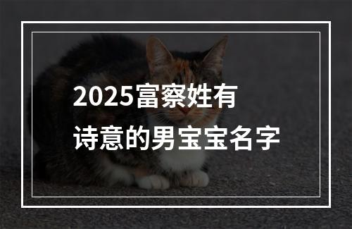 2025富察姓有诗意的男宝宝名字