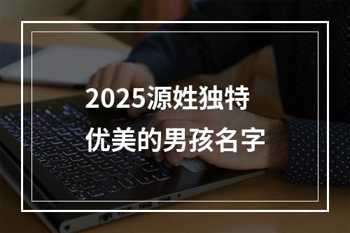 2025源姓独特优美的男孩名字