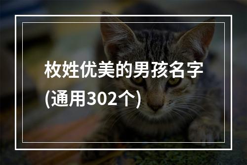 枚姓优美的男孩名字(通用302个)