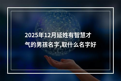 2025年12月延姓有智慧才气的男孩名字,取什么名字好