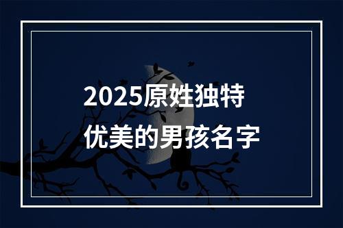 2025原姓独特优美的男孩名字