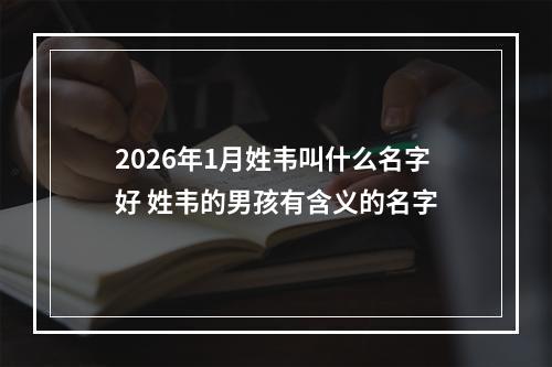2026年1月姓韦叫什么名字好 姓韦的男孩有含义的名字