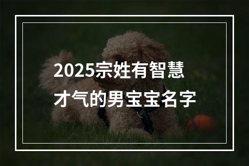 2025宗姓有智慧才气的男宝宝名字