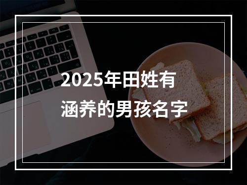 2025年田姓有涵养的男孩名字