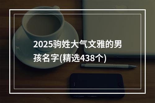 2025驹姓大气文雅的男孩名字(精选438个)