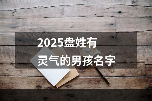 2025盘姓有灵气的男孩名字