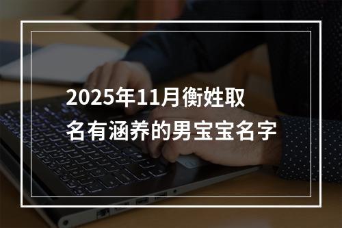 2025年11月衡姓取名有涵养的男宝宝名字