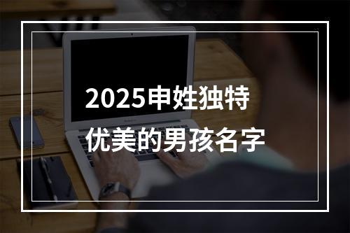 2025申姓独特优美的男孩名字