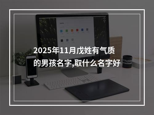 2025年11月戊姓有气质的男孩名字,取什么名字好