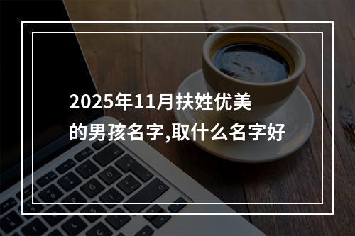 2025年11月扶姓优美的男孩名字,取什么名字好