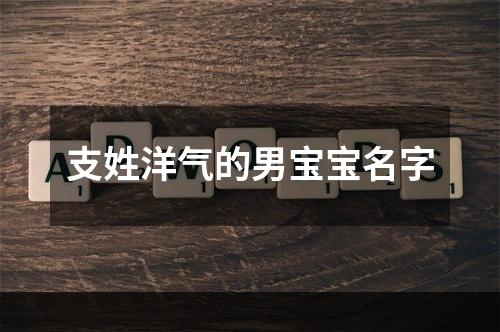 支姓洋气的男宝宝名字