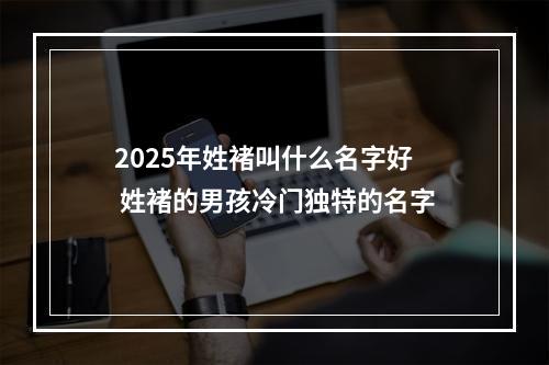 2025年姓褚叫什么名字好 姓褚的男孩冷门独特的名字
