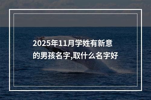 2025年11月学姓有新意的男孩名字,取什么名字好