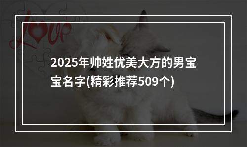 2025年帅姓优美大方的男宝宝名字(精彩推荐509个)