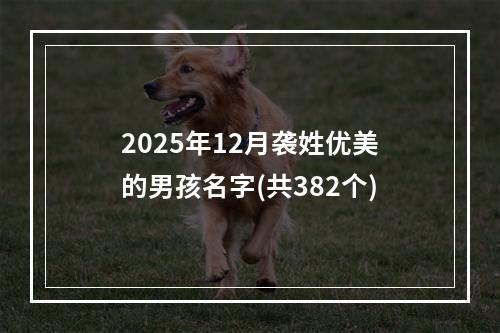 2025年12月袭姓优美的男孩名字(共382个)