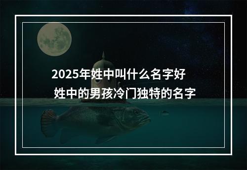 2025年姓中叫什么名字好 姓中的男孩冷门独特的名字