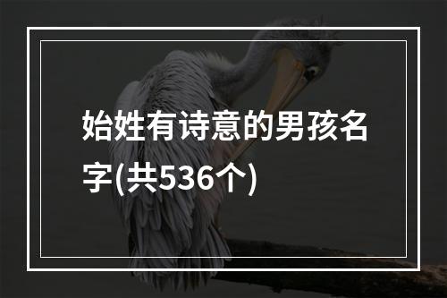 始姓有诗意的男孩名字(共536个)
