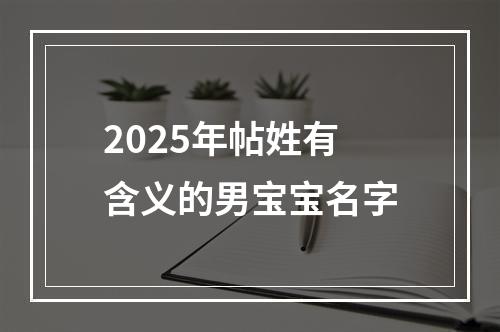 2025年帖姓有含义的男宝宝名字