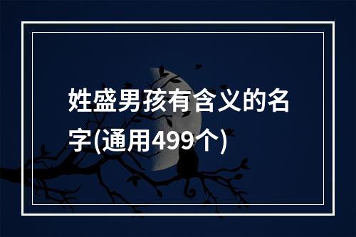 姓盛男孩有含义的名字(通用499个)