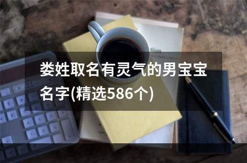 娄姓取名有灵气的男宝宝名字(精选586个)