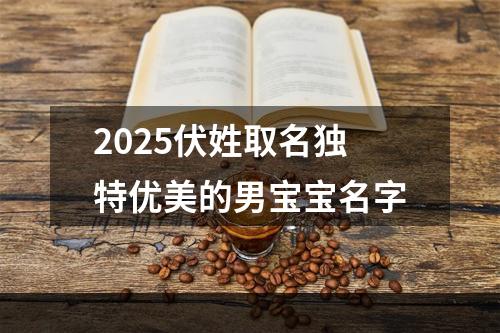 2025伏姓取名独特优美的男宝宝名字
