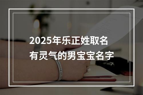 2025年乐正姓取名有灵气的男宝宝名字