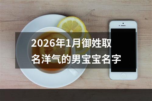 2026年1月御姓取名洋气的男宝宝名字