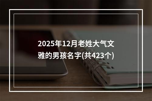 2025年12月老姓大气文雅的男孩名字(共423个)