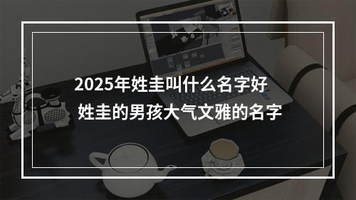 2025年姓圭叫什么名字好 姓圭的男孩大气文雅的名字