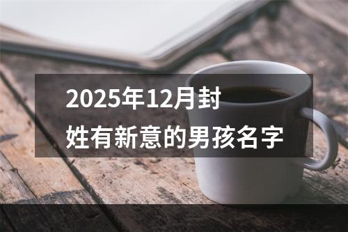 2025年12月封姓有新意的男孩名字