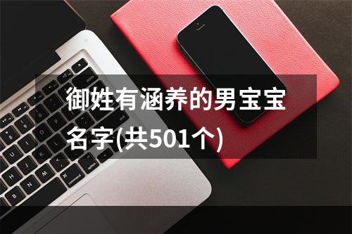 御姓有涵养的男宝宝名字(共501个)