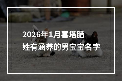 2026年1月喜塔腊姓有涵养的男宝宝名字
