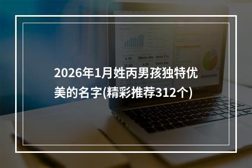 2026年1月姓丙男孩独特优美的名字(精彩推荐312个)