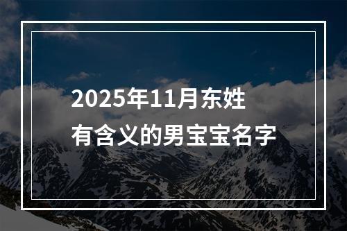 2025年11月东姓有含义的男宝宝名字