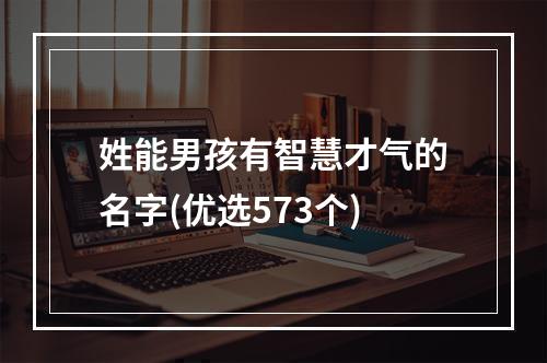 姓能男孩有智慧才气的名字(优选573个)