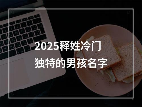 2025释姓冷门独特的男孩名字