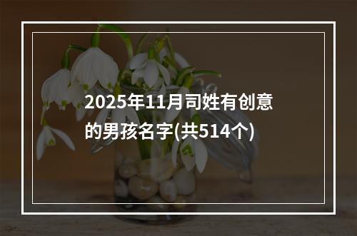 2025年11月司姓有创意的男孩名字(共514个)