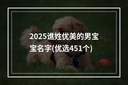 2025谯姓优美的男宝宝名字(优选451个)