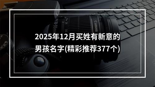 2025年12月买姓有新意的男孩名字(精彩推荐377个)