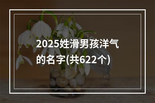 2025姓滑男孩洋气的名字(共622个)