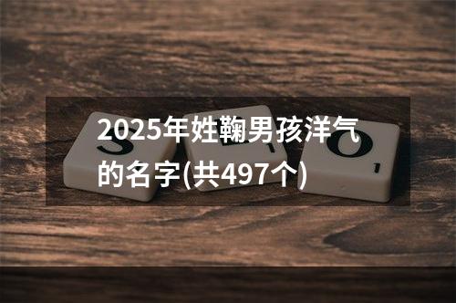 2025年姓鞠男孩洋气的名字(共497个)