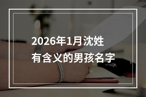 2026年1月沈姓有含义的男孩名字