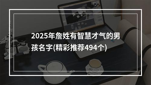 2025年詹姓有智慧才气的男孩名字(精彩推荐494个)