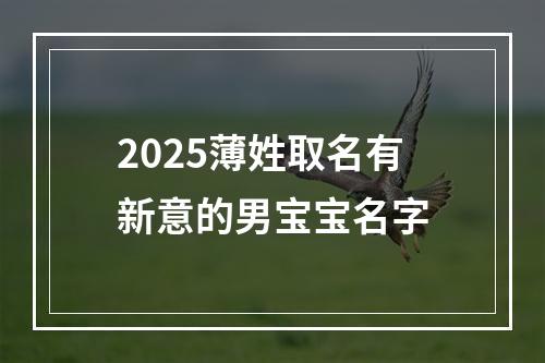 2025薄姓取名有新意的男宝宝名字