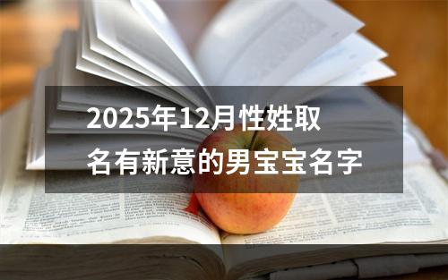 2025年12月性姓取名有新意的男宝宝名字