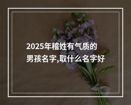 2025年稽姓有气质的男孩名字,取什么名字好